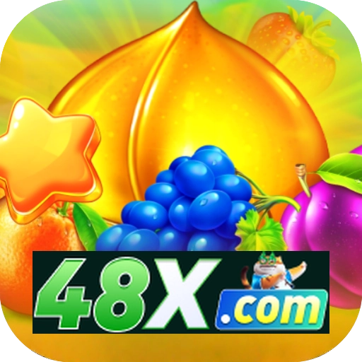 48x LOGO